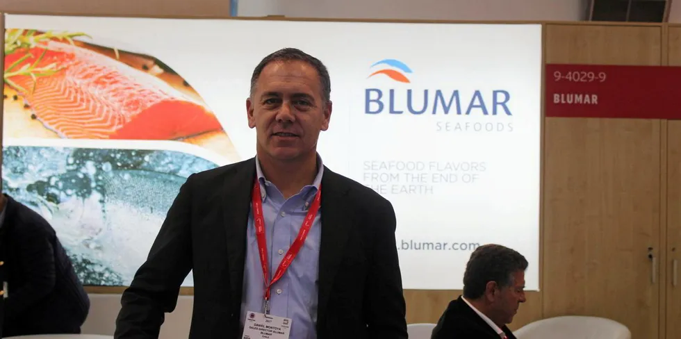 "We have indeed stopped shipping containers to Russia for now in the hope of less uncertainty," Blumar Commercial Director Daniel Montoya told IntraFish.