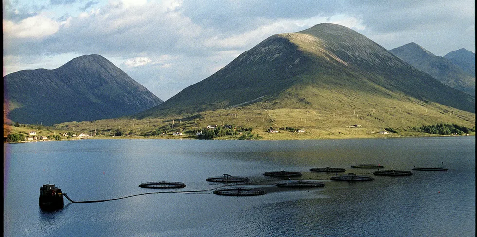 International investment firm Creadev has its eyes on the salmon or trout farming sector.