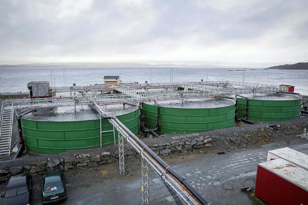 Post-smolt land-based salmon farming in Norway.
