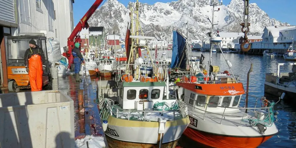 MÅ VENTE: En del nordlandsfiskere står ifølge Nordland Fylkes Fiskarlag i fare for å miste starten på neste års vinterfiske på grunn av manglende fartøyinstruks. Da kan lofotfisket (bildet) med senere oppstart være et alternativ. Foto: Jon Eirik Olsen