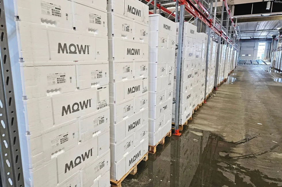 Laks fra alle Mowis slakterier kommer inn til terminalen ved Gardermoen, hvor de sorteres og pakkes på nye paller som går ut til kunder i hele verden.