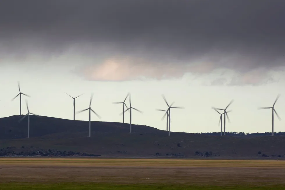 Power: the Capital Wind Farm near Tarago, Canberra