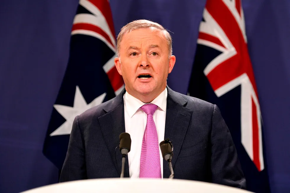 Campaign promise: Australia's Labor Party leader Anthony Albanese will set a target to cut emissions 43% by 2030 if his party wins next year's federal election