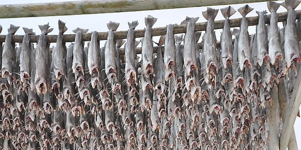 Arctic Taste importerer tørrfisk fra Island. Illustrasjonsfoto: Mia Kanstad Kulseng