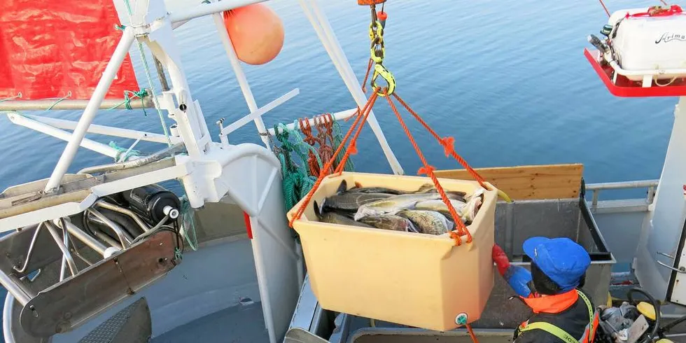 TRIVES: Fiskere lever ofte farlig på havet og trives med det. Næringen har vist god lønnsomhet, men har forbedringspotensiale når det gjelder sikkerhet. Foto: Agnar Berg