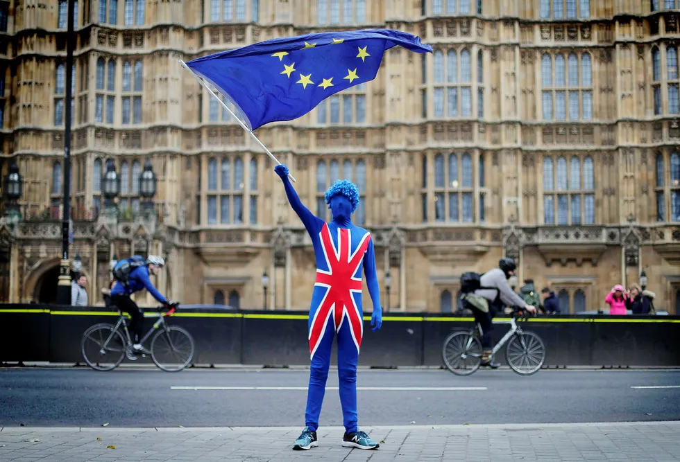 En EU-tilhenger demonstrerte utenfor parlamentet i London 29. mars – nøyaktig ett år før britene skal være ute av EU. Foto: Daniel Leal-Olivas/AFP/NTB Scanpix
