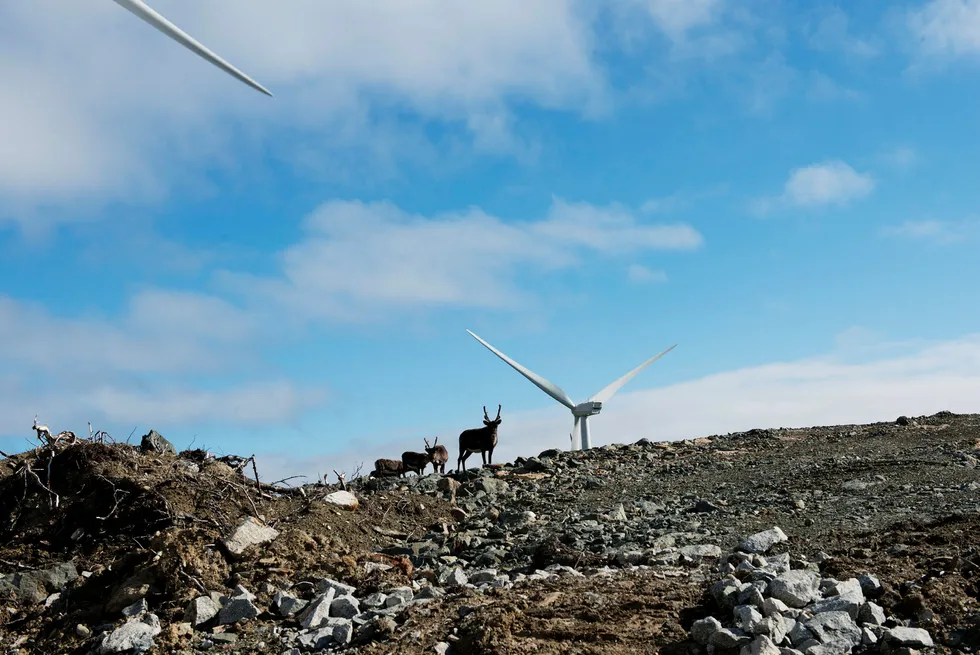 Få kommuner i Norge ønsker vindkraft. V