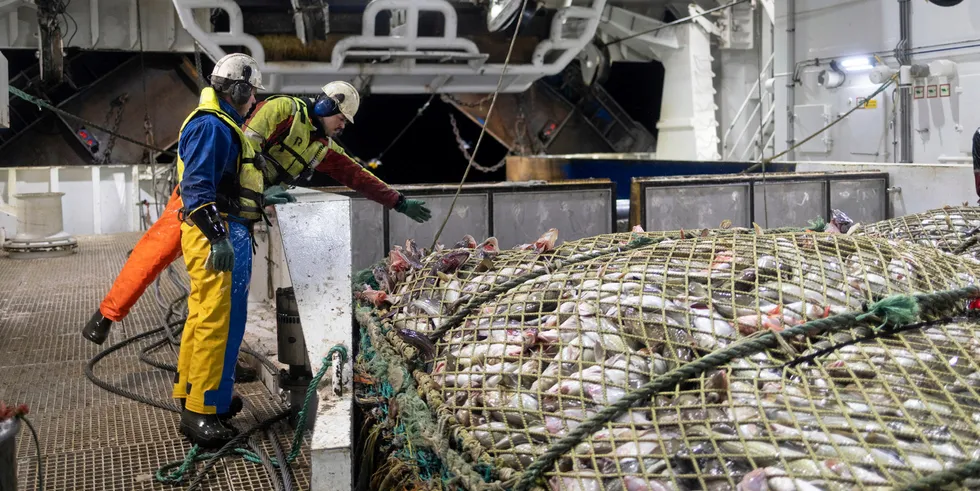 Torsketrålerne har hatt høyere fangstinntekter i 2021 og Lerøy Havfisk sin tråler «Nordtind» troner øverst.