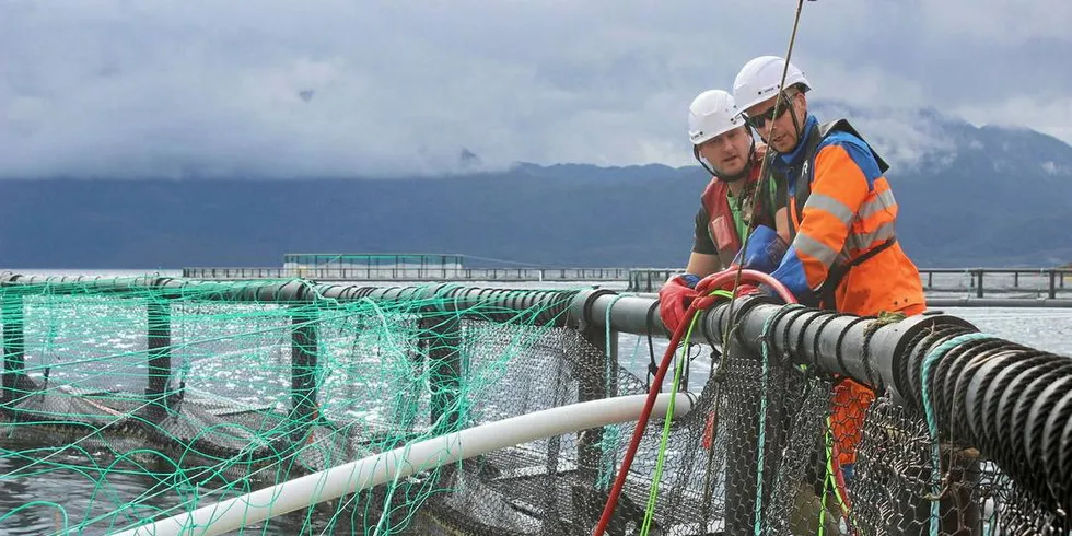 NY ARBEIDSBÅT: Cermaq Nordland har gjort en avtale med Govfjord Mek. Verksted.