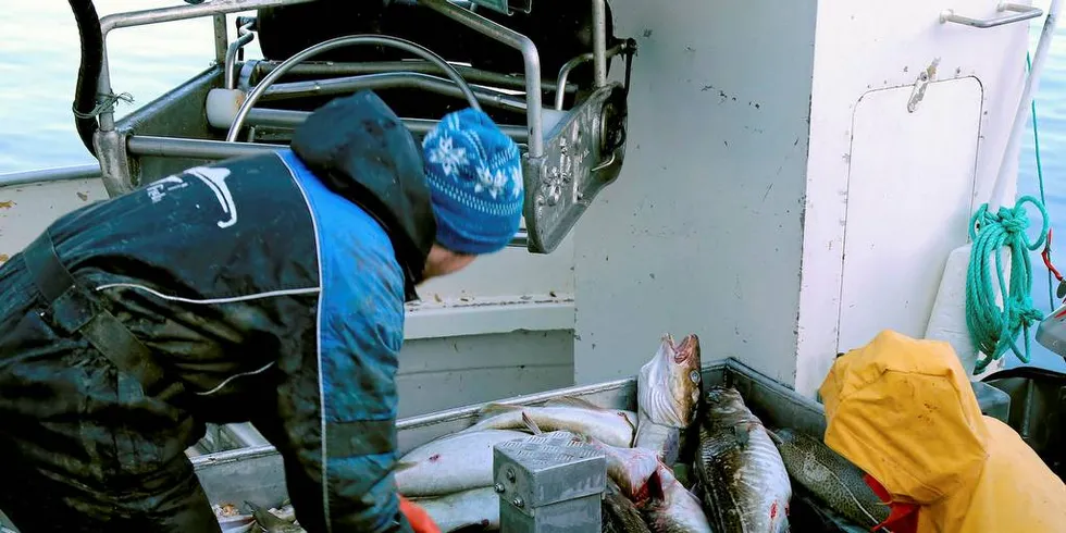 Spesialordningene er etablert av politikerne som ønsker bedre råstoffutjevning og tilgang for fiskemottakene. Dette angår dermed oss i Fiskekjøpernes Forening (FiFor) sterkt.Illustrasjonsfoto: Jon Eirik Olsen