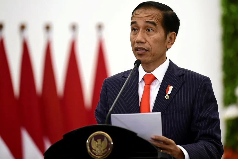 Rejection: Indonesia's President Joko Widodo