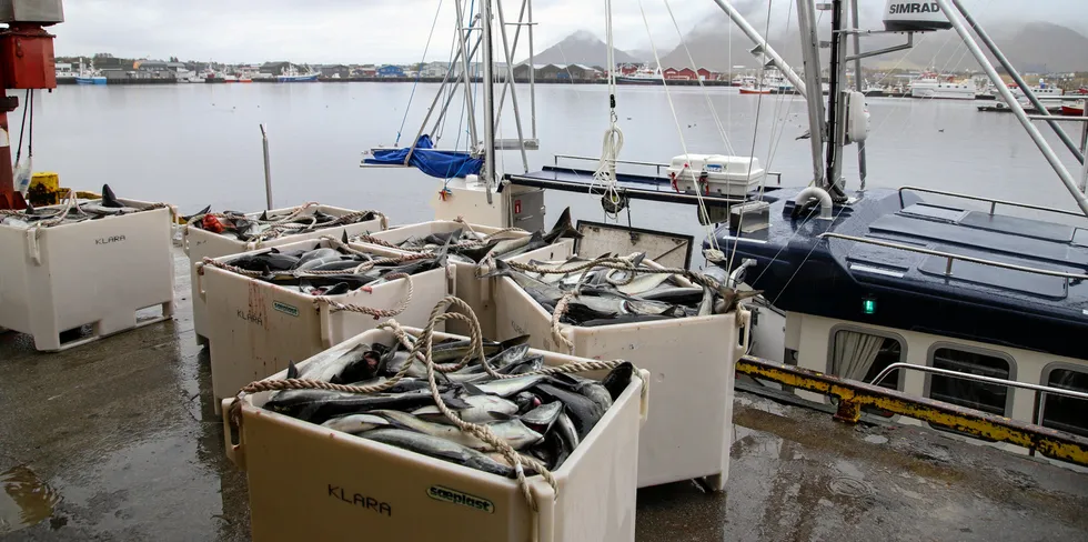 Det er nå fritt fiske etter sei for lukket gruppe i den minste flåten.