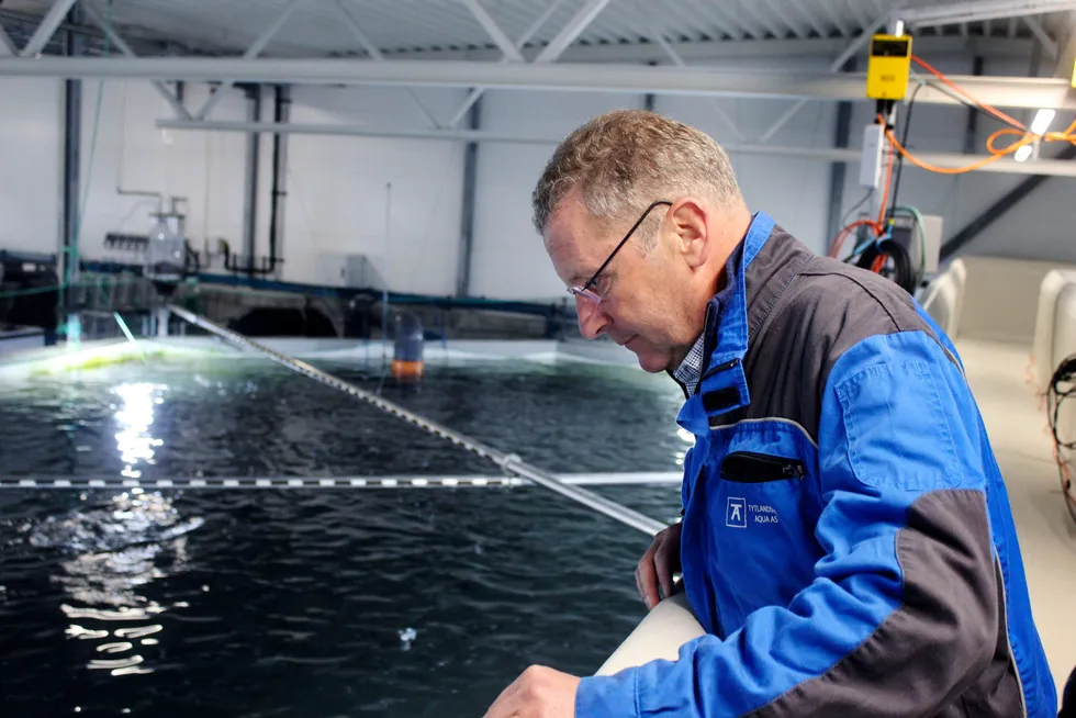 Andreas Kvame er konsernsjef i Grieg Seafood. Her på Tytlandsvik Aqua, som produserer såkalt postsmolt.