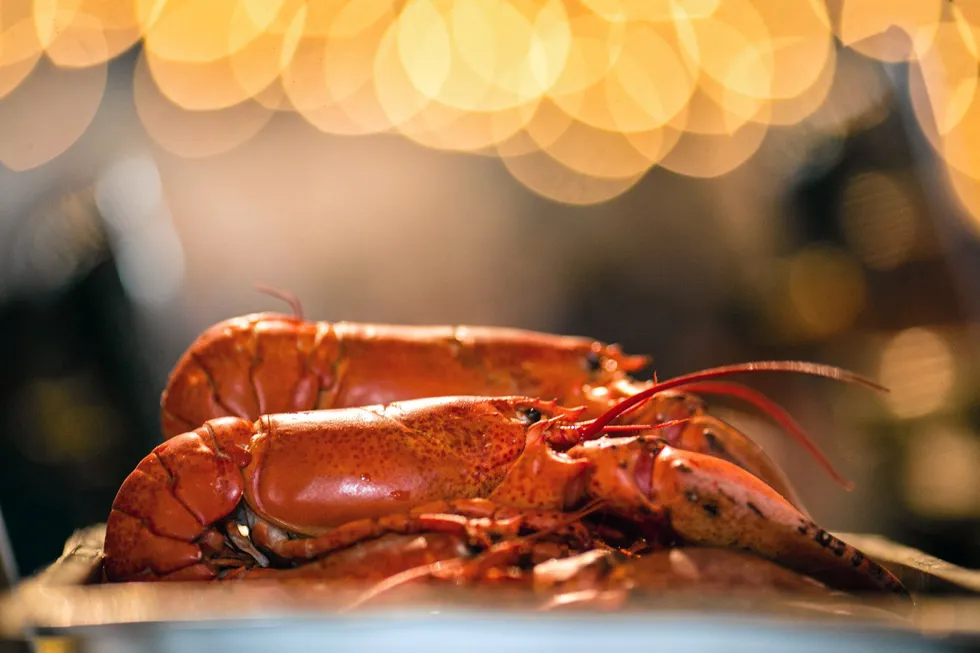 Clearwater Seafoods has asked for more lobster catch.