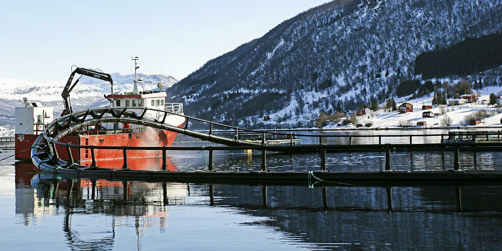 Bildet er av Salaks laksemerder i Lavangen. Selskapet er et av dem som ble hardt rammet av ILA både i 2019 og våren 2020.