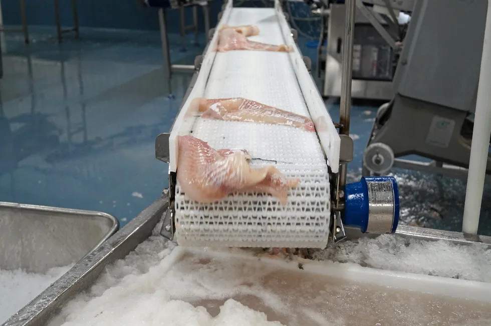 Prices for Icelandic cod and haddock have been at record high levels in recent years, reaching a peak last summer, but are now coming down slightly.