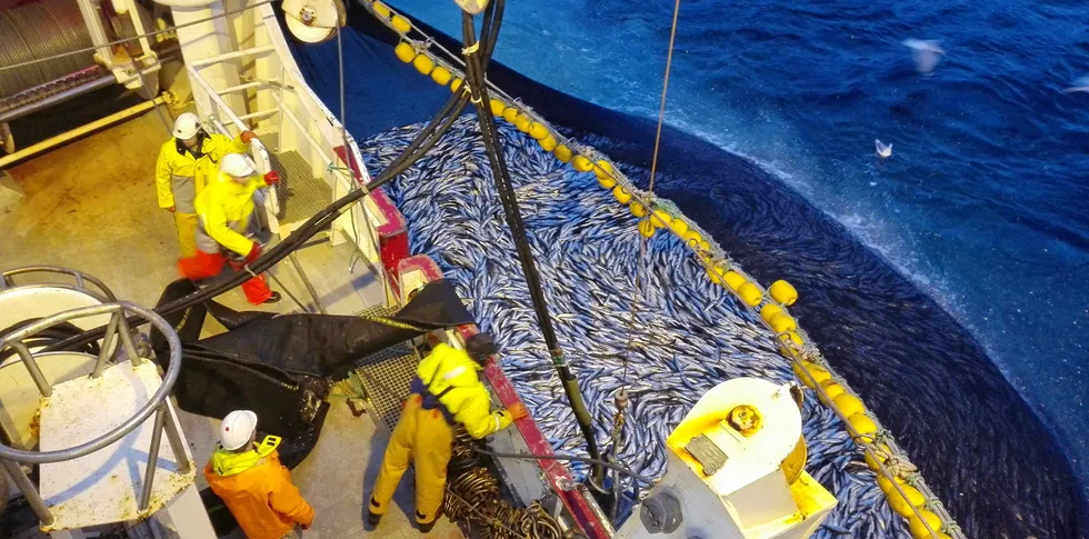 Klimavennlig fangst er en forutsetning for at fiskerinæringa skal kunne fortsette å være viktig i Norge.