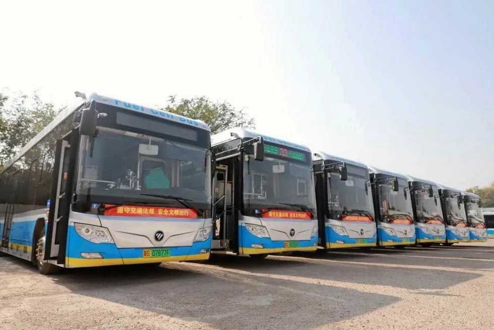 A row of fuel-cell buses manufactured by Chinese automaker Foton.
