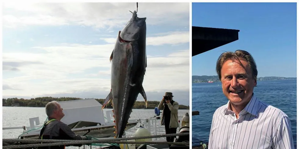 191 makrellstørjer ble tatt opp av «Hillersøy» for to år siden. Forsker Leif Nøttestad ved Havforskningsinstituttet er glad den store tunfisken er i Norge igjen.Foto: Torhild Måkestad Martinussen, Camilla Aadland