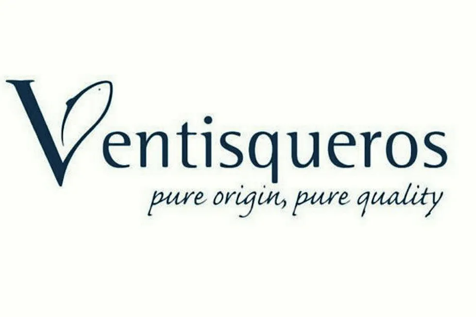 Company profile: Ventisqueros