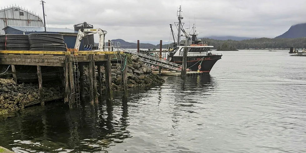 Update: Cermaq accidentally spills hundreds of liters of processing wastewater