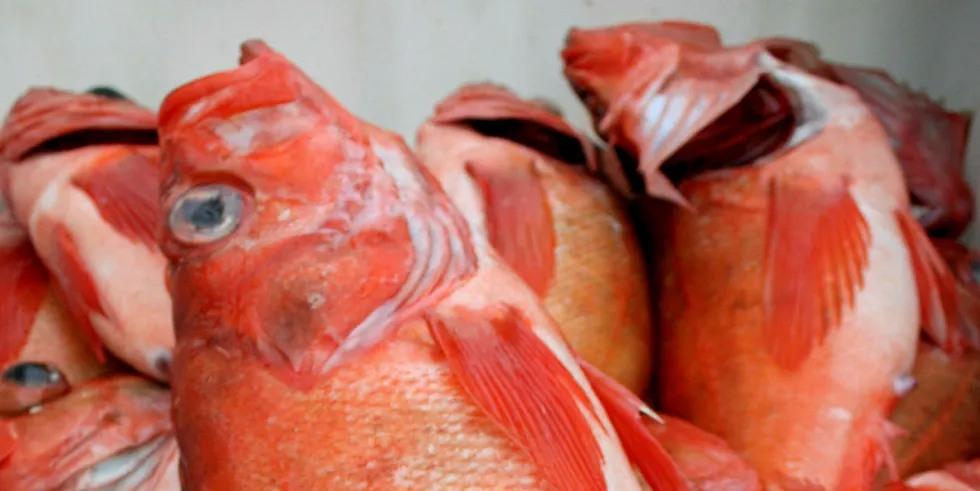 Kystfiskeflåten trenger mer uer i høstfisket og ønsker kvotebytte med trålerne.