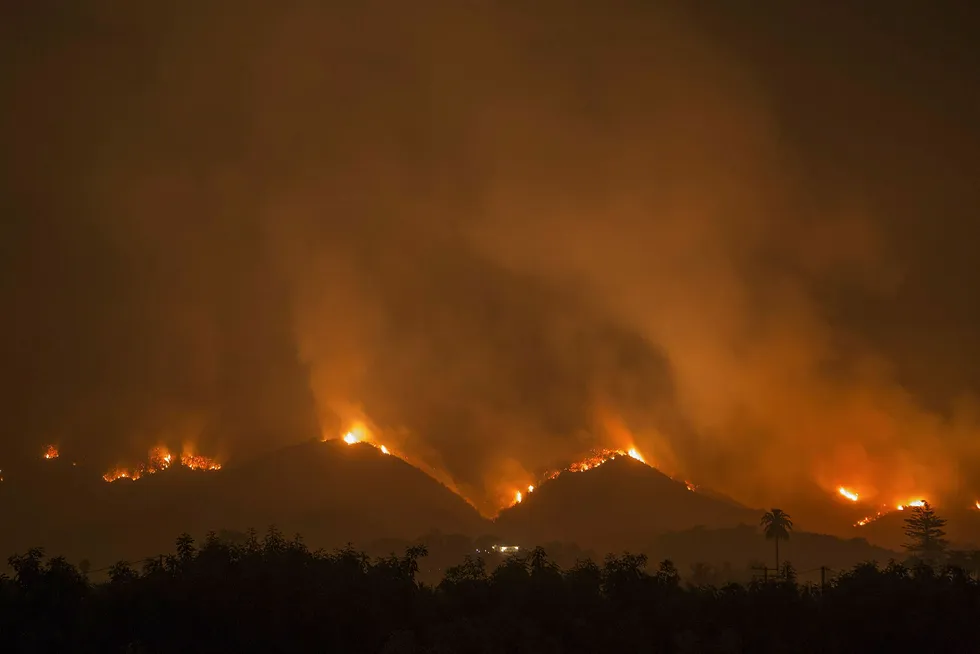 California har vært rammet av mange store skogbranner den siste tiden. Foto: David Mcnew/Getty Images/AFP/NTB scanpix