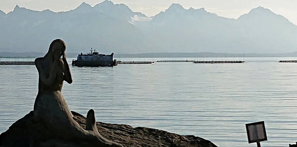 Havkvinna på Reinøya sørger over nok et ILA-utbrudd i oppdrettsanlegget Lubben (bak), skriver Naturvernforbundets representant i dette innlegget. Lyngsalpene i bakgrunnen.