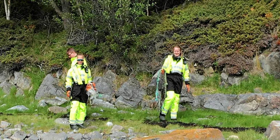 Flere sjømatselskaper har gitt haugevis av unge jobb i sommer. Cermaq har ansatt ungdom som rydder strandsøppel i Finnmark.Pressefoto