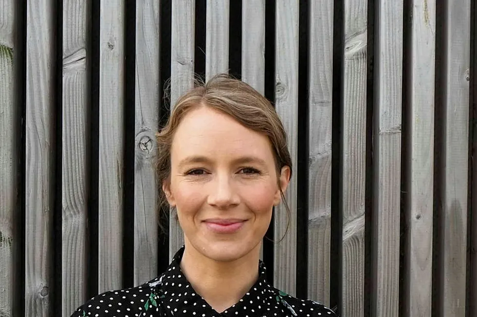 Lea Wermelin, Danish environment minister.