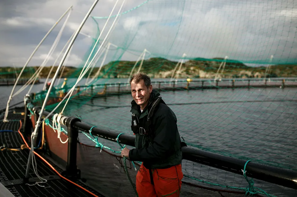 Laksegründer Ola Braanaas melder om gode volumer fra merdene i Firda Seafood. Foto: Nicklas Knudsen