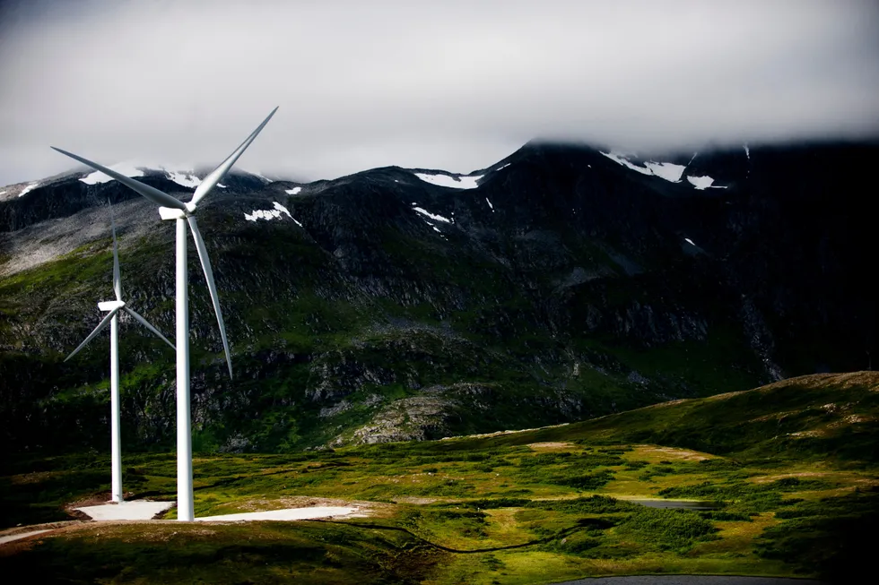 Skaden på naturen må være minst mulig den dagen møllene skal fjernes igjen, skriver Fred. Olsen. Her fra Fakken vindpark på Vannøya i Troms.