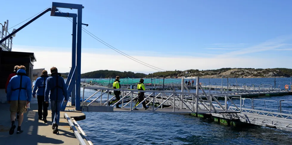 Engesund Fiskeoppdrett trodde sommeren 2020 skulle bli sesongen med flest utenlandske turister. Ettersom korona skapte hytte- og utreiseforbud skulle sommeren vise seg å huse rekordmange gjester til visningssenteret i Fitjarøyene.