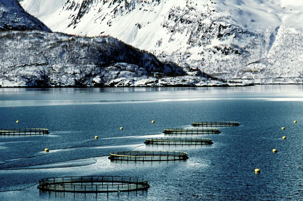 The Norwegian Seafood Council's US office is striving to teach US consumers about the country's aquaculture practices.