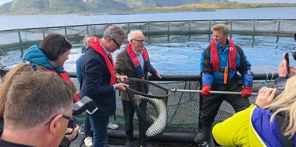 LEVENDELAGRING: Klyngeleder Maiken Johnsen i Cod Cluster fikk i fjor besøk av Fiskeri -og sjømatminister Odd Emil Ingebrigtsen, som fikk se all fremgangen innen levendelagret torsk.