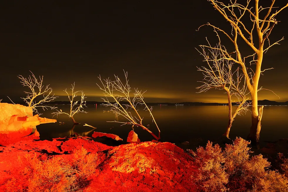 Going to California: light from a geothermal energy plant in the US state illuminates dead trees flooded by the rising waters from the Salton Sea