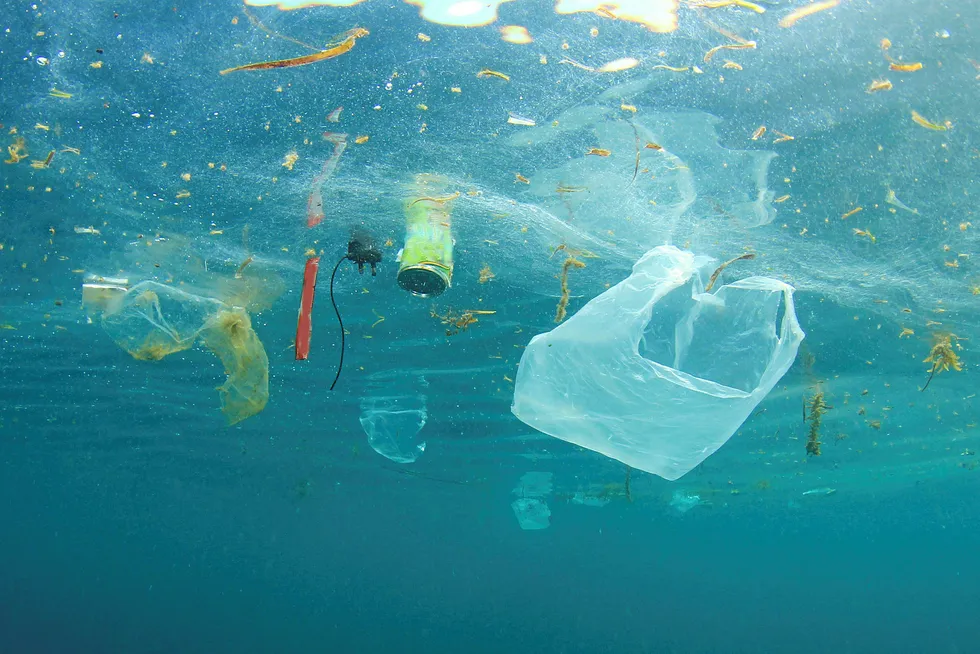It is estimated that there is now a 1:2 ratio of plastic to plankton.