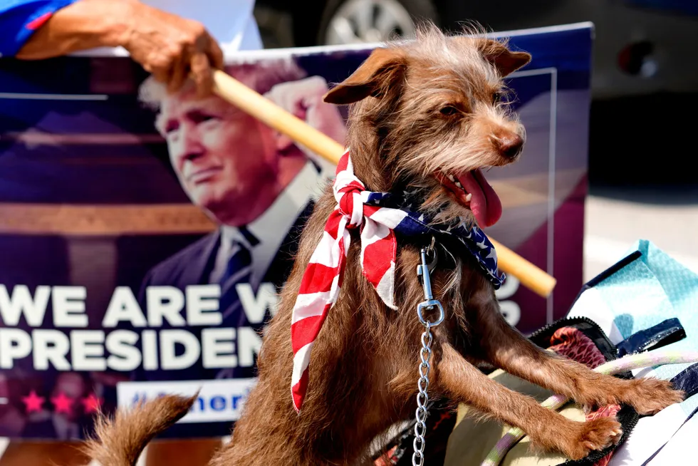 Hunder har ikke stemmerett i USA, men Donald Trump lover at de ikke skal bli fanget og spist av illegale innvandrere fra Haiti hvis han kommer til makten.