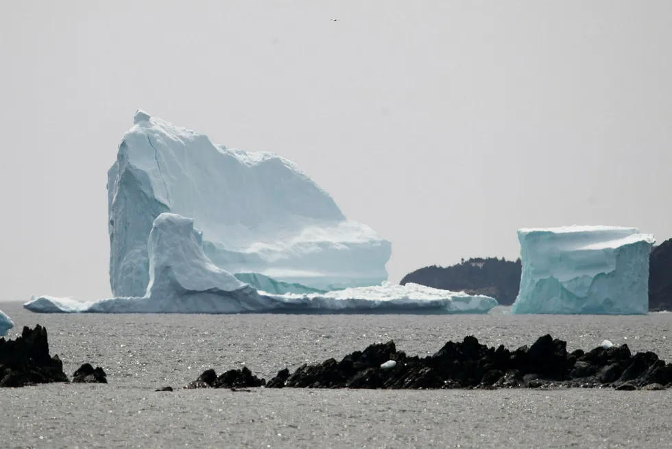 Havet vil etter all sannsynlighet stige de neste tiårene. Det kan drive millioner av mennesker på flukt. Bildet viser et stort isfjell som fløt utenfor kysten av Newfoundland, Canada i 2017.