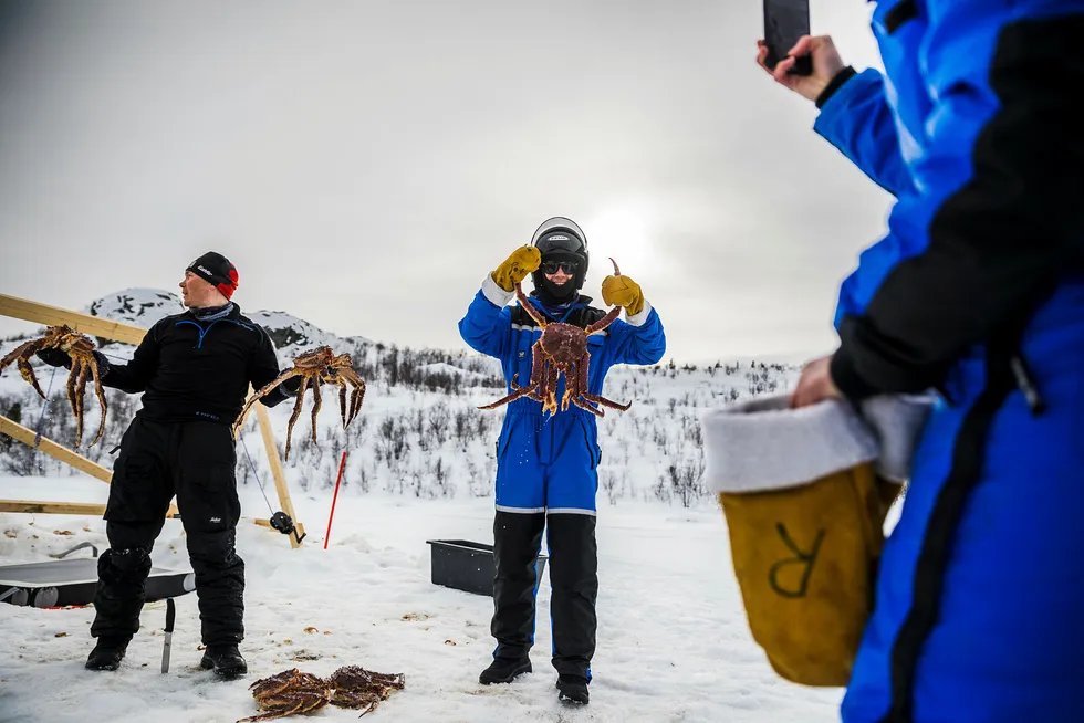 Guide Geir Hansen (til venstre) står klar til å «dele ut» kongekrabber for fotografering. Konferansedeltager Vegard Gamnes (i midten) poserer allerede på isen like ved Snøhotellet i Kirkenes. Foto: Per Thrana
