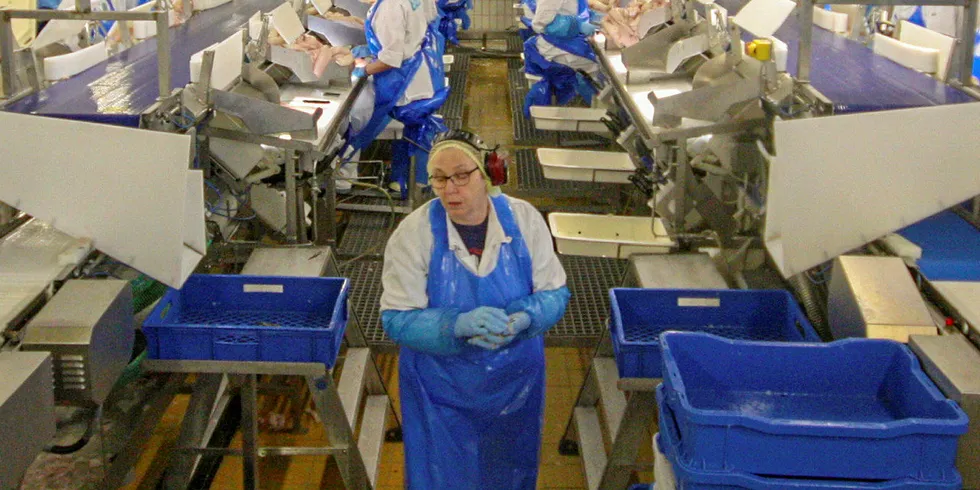 HØY VIDEREFOREDLING: Havfisk AS melder at Lerøy Seafood har stadig høyere videreforedlingsgrad av villfanget fisk. Her fra Norway Seafoods fiskebruk i Båtsfjorden.