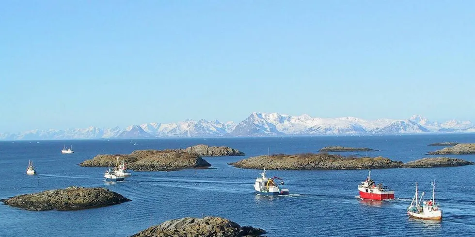 Kystfiskeflåten på vei ut på lofotfiske på Henningsværstraumen. Foto: Harald Berg