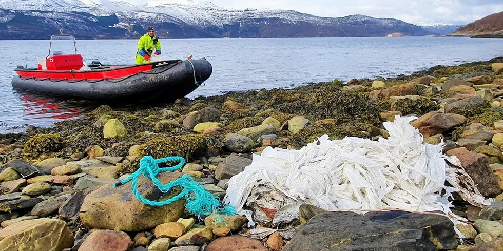 Wenberg Fiskeoppdrett ryddet i strandlinjen i Fauske nylig.