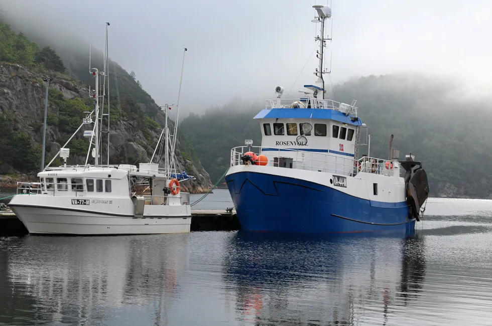 Rekebåten «Rosenvoll» av Mandal landet nylig 1360 kilo reker, derav 1095 kilo kokt, til det lokale mottaket.