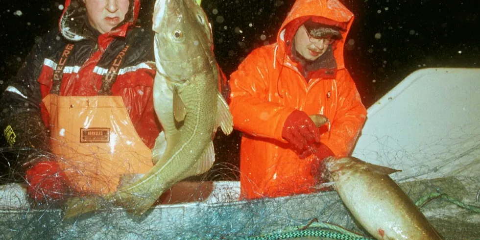 BEKYMRET: Fiskarlaget Nord frykter at stoppen i ferksfiskordningen vil medføre fare for økt andel inndratt kvantum torsk i årets siste måned, eventuelt at fisketakten etter andre arter enn torsk går ned. Her er fisker Odd Kristian og Bjørn Olav Myhre på «Havblomst» utenfor Vesterålen.