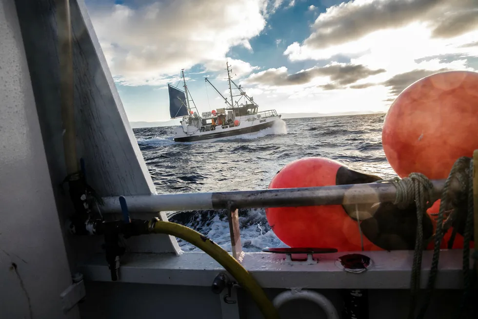Fiskebåten «Kaja Marie», med fiskerbrødrene Bjørn Tore Rosvoll og Raymond Rosvoll ombord, er på vei for å levere fangsten til Nordvågen. Foto: Per Thrana