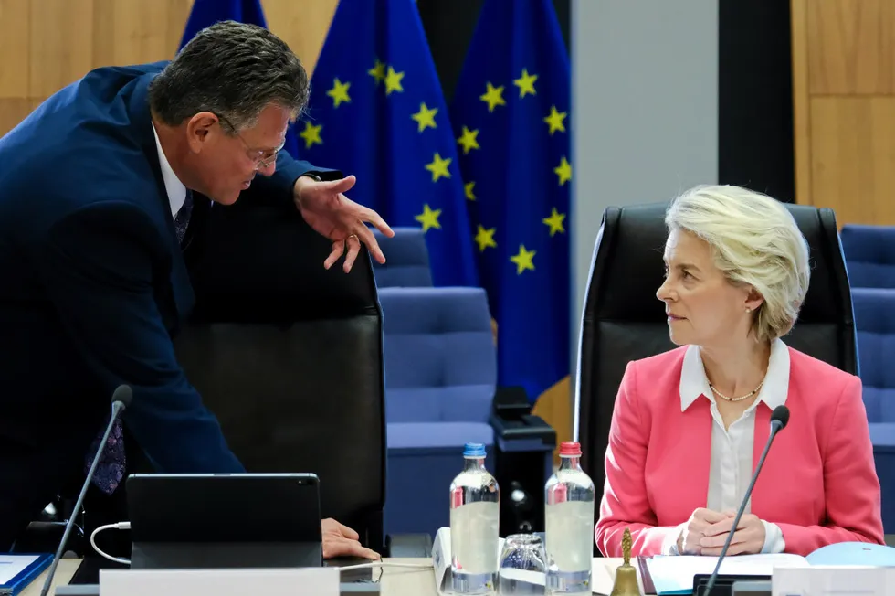 Maroš Šefčovič, the European Commission's executive vice-president, who oversees the European Green Deal, in discussion with EC President Ursula von der Leyen at a commissioners' meeting in Brussels.
