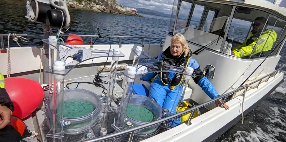 Her er forsker Anne Berit Skiftesvik på vei ut i fjorden med to spesialdesignede drivkamre som ble brukt i forsøkene.