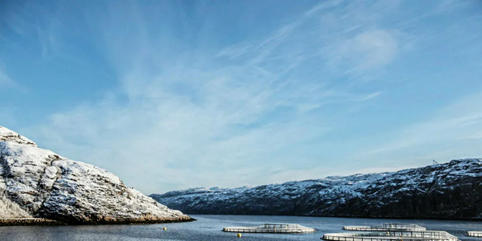 Foto: Russian Aquaculture