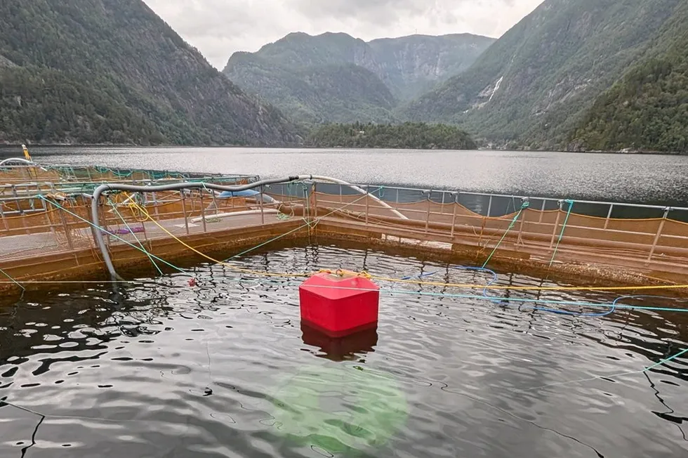 Havforskningsinstituttet har sett på forskjellene på nedsenket og tradisjonell drift av oppdrett.